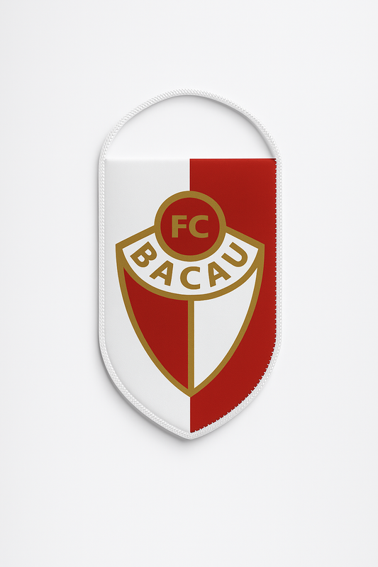 Fanion FC BACAU