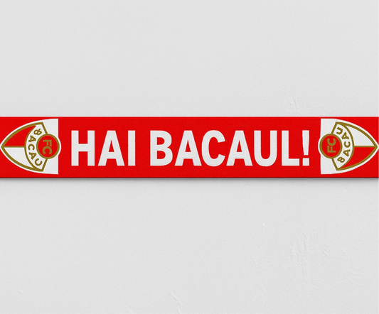Esarfa FC BACAU